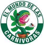 𝐄𝐋 𝐌𝐔𝐍𝐃𝐎 𝐃𝐄 𝐋𝐀𝐒 𝐂𝐀𝐑𝐍𝐈𝐕𝐎𝐑𝐀𝐒